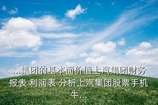 ...集團的基本面價值上汽集團財務(wù)報表 利潤表 分析上汽集團股票手機牛...