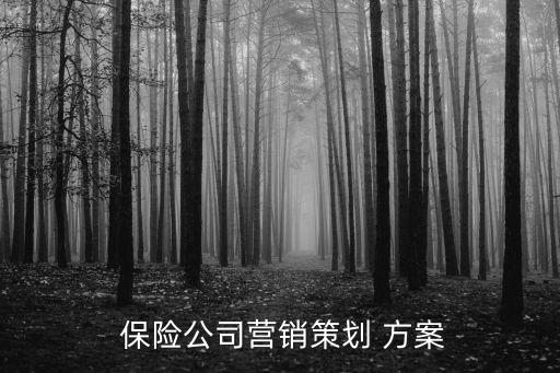  保險(xiǎn)公司營銷策劃 方案