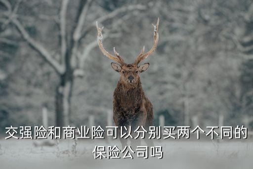 交強(qiáng)險(xiǎn)和商業(yè)險(xiǎn)可以分別買兩個(gè)不同的 保險(xiǎn)公司嗎