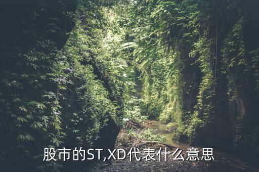 上市公司各種數(shù)據(jù)英文縮寫(xiě)