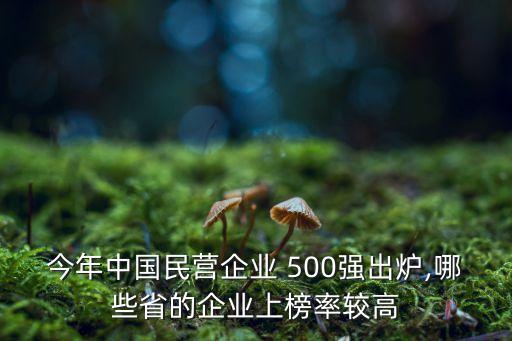 今年中國民營企業(yè) 500強出爐,哪些省的企業(yè)上榜率較高