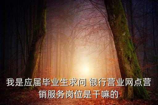 我是應屆畢業(yè)生求問 銀行營業(yè)網點營銷服務崗位是干嘛的