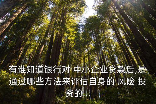 有誰知道銀行對 中小企業(yè)貸款后,是通過哪些方法來評估自身的 風險 投資的...