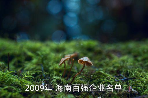 2009年 海南百?gòu)?qiáng)企業(yè)名單