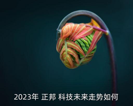 2023年 正邦 科技未來(lái)走勢(shì)如何