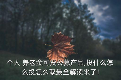 個人 養(yǎng)老金可投公募產(chǎn)品,投什么怎么投怎么取最全解讀來了!