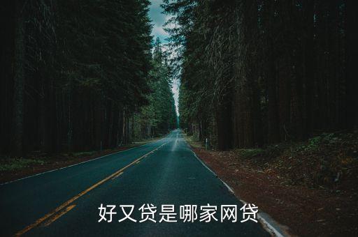 好又貸是哪家網(wǎng)貸