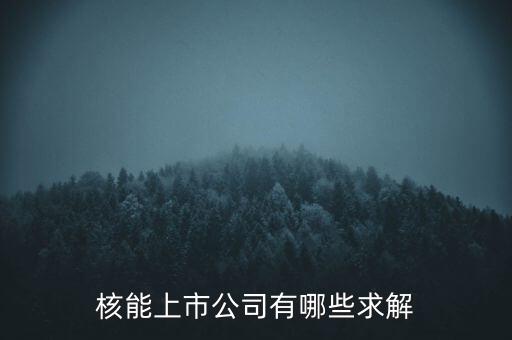 核能上市公司有哪些求解