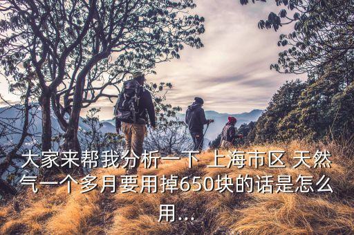 大家來(lái)幫我分析一下 上海市區(qū) 天然氣一個(gè)多月要用掉650塊的話(huà)是怎么用...