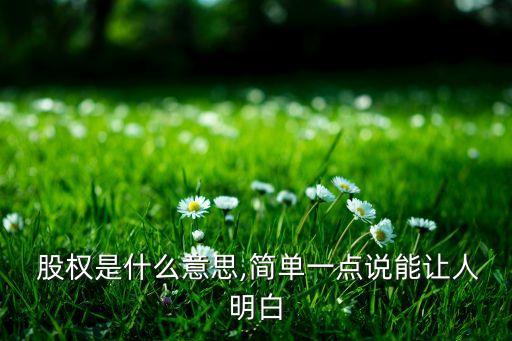  股權(quán)是什么意思,簡(jiǎn)單一點(diǎn)說(shuō)能讓人明白