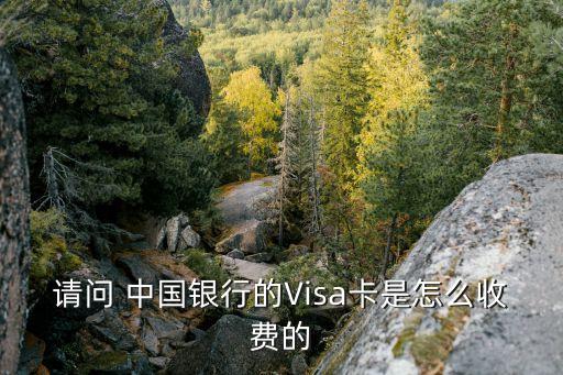 請問 中國銀行的Visa卡是怎么收費(fèi)的