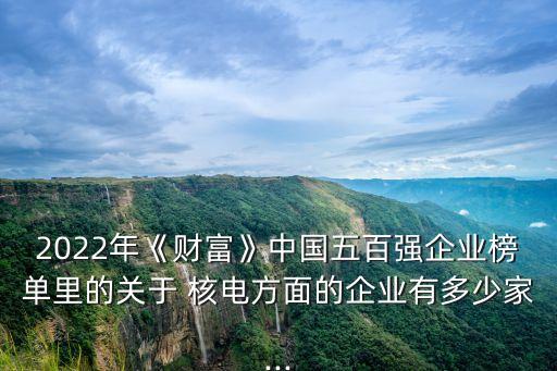 2022年《財富》中國五百強企業(yè)榜單里的關(guān)于 核電方面的企業(yè)有多少家...