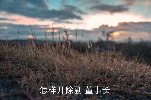 怎樣開(kāi)除副 董事長(zhǎng)