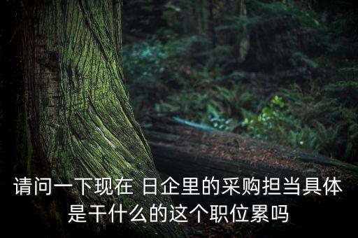 請問一下現(xiàn)在 日企里的采購擔當具體是干什么的這個職位累嗎