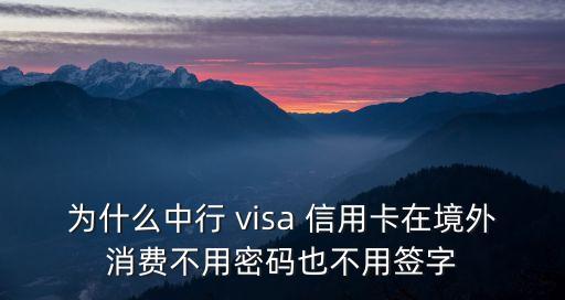 中國銀行環(huán)球通信用卡visa