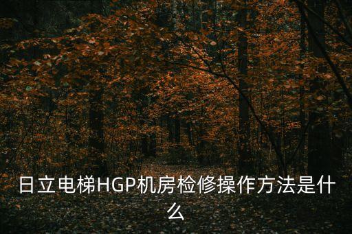 日立電梯HGP機(jī)房檢修操作方法是什么