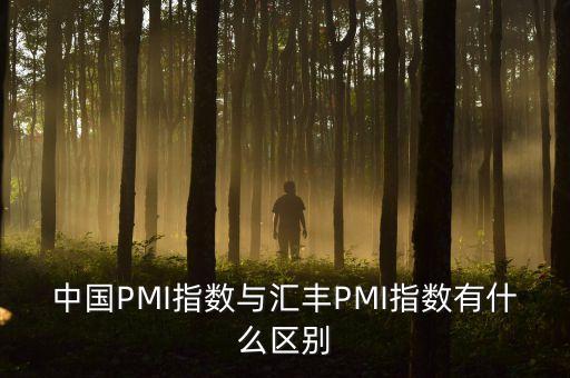 中國PMI指數(shù)與匯豐PMI指數(shù)有什么區(qū)別