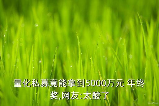 量化私募竟能拿到5000萬元 年終獎,網(wǎng)友:太酸了