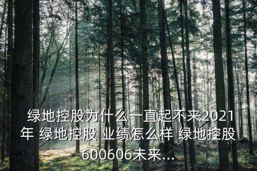  綠地控股為什么一直起不來(lái)2021年 綠地控股 業(yè)績(jī)?cè)趺礃?綠地控股600606未來(lái)...