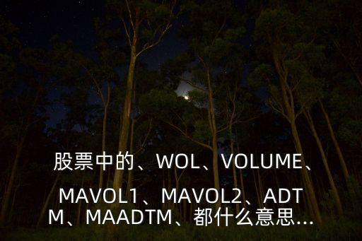  股票中的、WOL、VOLUME、MAVOL1、MAVOL2、ADTM、MAADTM、都什么意思...