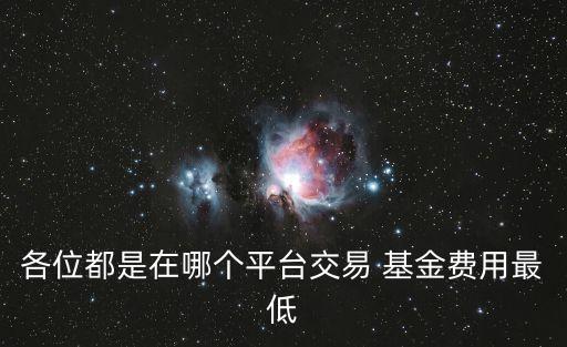 各位都是在哪個(gè)平臺(tái)交易 基金費(fèi)用最低