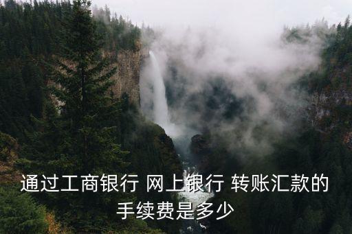 通過工商銀行 網(wǎng)上銀行 轉(zhuǎn)賬匯款的手續(xù)費是多少