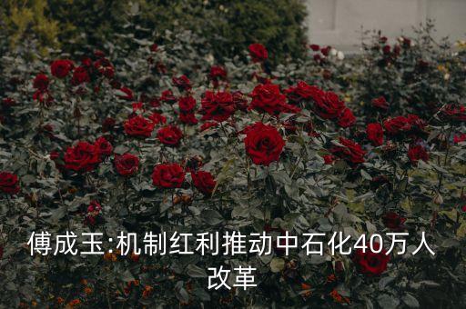 傅成玉:機(jī)制紅利推動(dòng)中石化40萬人改革