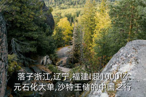 落子浙江,遼寧,福建!超1000億元石化大單,沙特王儲的中國之行