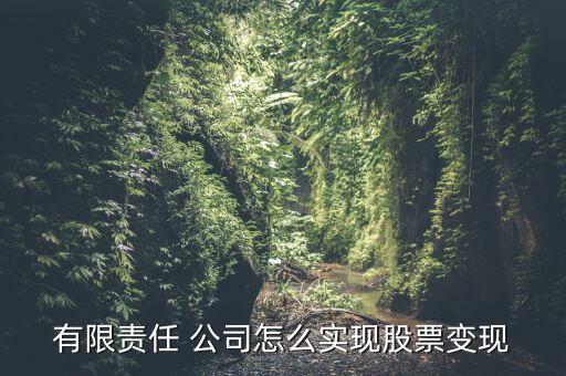 有限責(zé)任 公司怎么實現(xiàn)股票變現(xiàn)