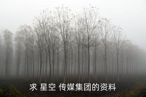 求 星空 傳媒集團(tuán)的資料