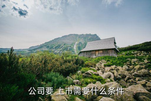 什么樣的公司可以上市,公司要達(dá)到什么要求才能上市