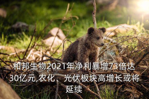 和邦生物2021年凈利暴增73倍達(dá)30億元,農(nóng)化、光伏板塊高增長(zhǎng)或?qū)⒀永m(xù)