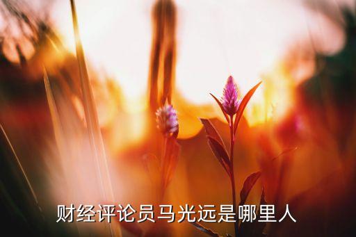 財經(jīng)評論員馬光遠是哪里人