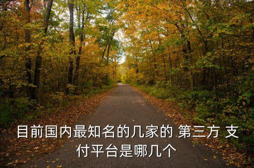 目前國(guó)內(nèi)最知名的幾家的 第三方 支付平臺(tái)是哪幾個(gè)