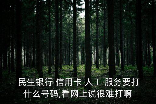  民生銀行 信用卡 人工 服務(wù)要打什么號(hào)碼,看網(wǎng)上說很難打啊