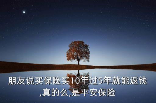 保險(xiǎn)公司十周年紀(jì)實(shí),中國最大的保險(xiǎn)公司排名前十