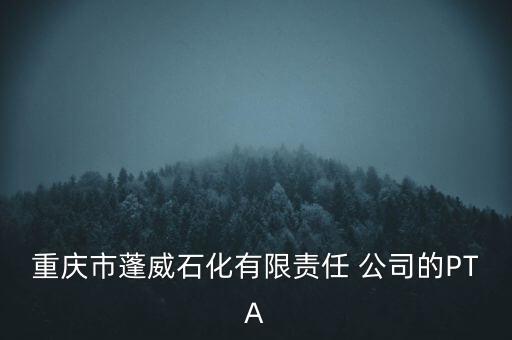 重慶市蓬威石化有限責(zé)任 公司的PTA