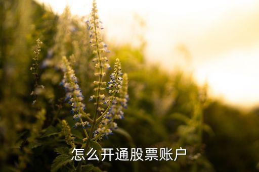 怎么開通股票賬戶