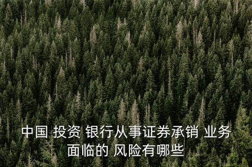 中國 投資 銀行從事證券承銷 業(yè)務(wù)面臨的 風(fēng)險有哪些