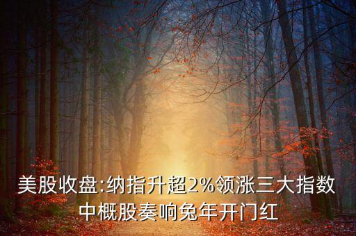 美股收盤:納指升超2%領漲三大指數(shù)中概股奏響兔年開門紅