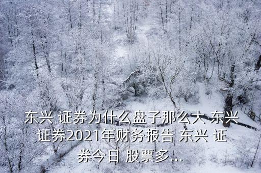  東興 證券為什么盤(pán)子那么大 東興 證券2021年財(cái)務(wù)報(bào)告 東興 證券今日 股票多...