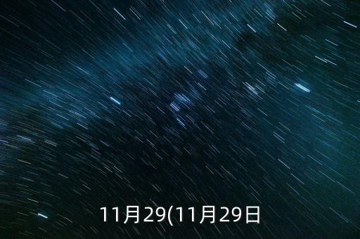 11月29(11月29日