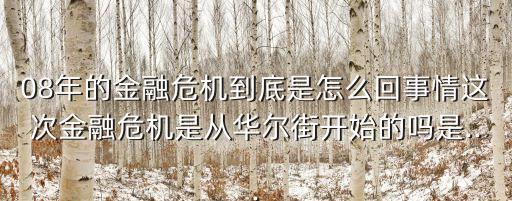 08年的金融危機到底是怎么回事情這次金融危機是從華爾街開始的嗎是...