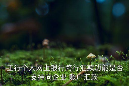 工行個人賬戶轉(zhuǎn)公司賬戶,工行企業(yè)轉(zhuǎn)個人賬戶手續(xù)費