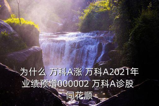 為什么 萬科A漲 萬科A2021年業(yè)績預增000002 萬科A診股 同花順