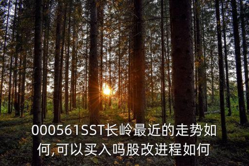 000561SST長嶺最近的走勢如何,可以買入嗎股改進程如何