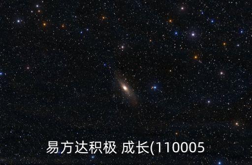 易方達積極 成長(110005