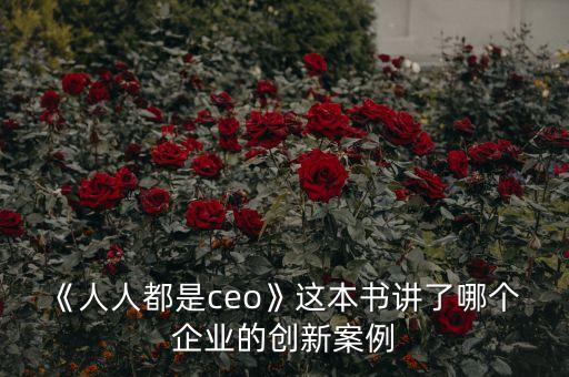 《人人都是ceo》這本書講了哪個 企業(yè)的創(chuàng)新案例