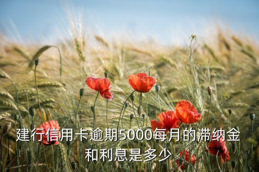 建行信用卡逾期5000每月的滯納金和利息是多少