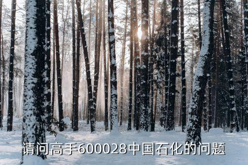 請(qǐng)問(wèn)高手600028中國(guó)石化的問(wèn)題